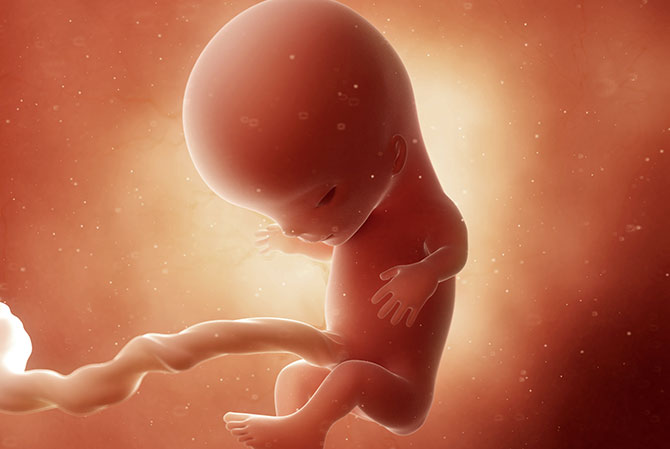 11 weken zwanger - Kraamzorg So Cute