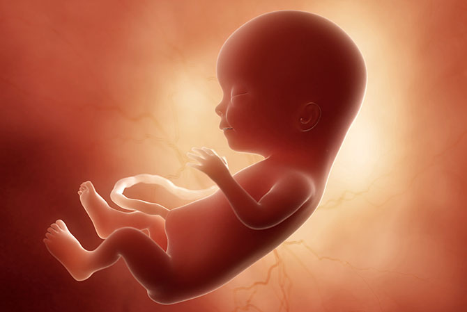 15 weken zwanger - Kraamzorg So Cute