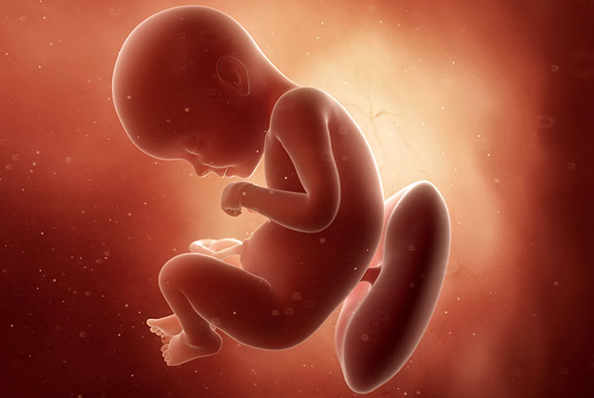 29 weken zwanger - Kraamzorg So Cute
