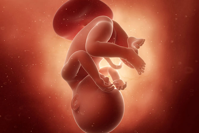 38 weken zwanger - Kraamzorg So Cute