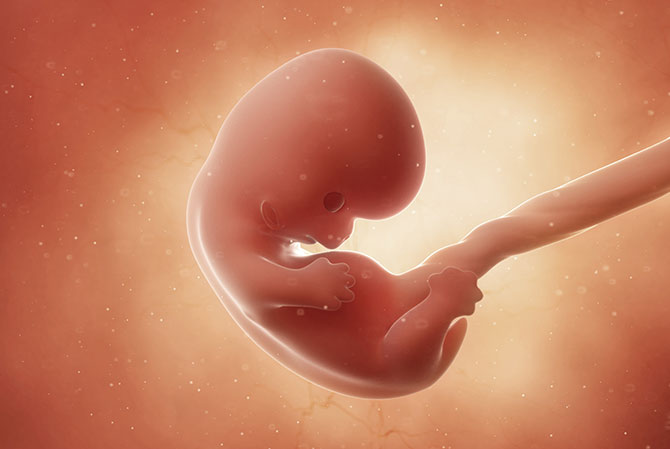8 weken zwanger - Kraamzorg So Cute