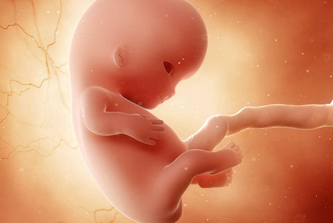 9 weken zwanger - Kraamzorg So Cute